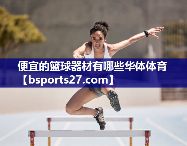 便宜的篮球器材有哪些华体体育