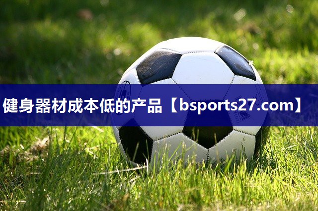 健身器材成本低的产品